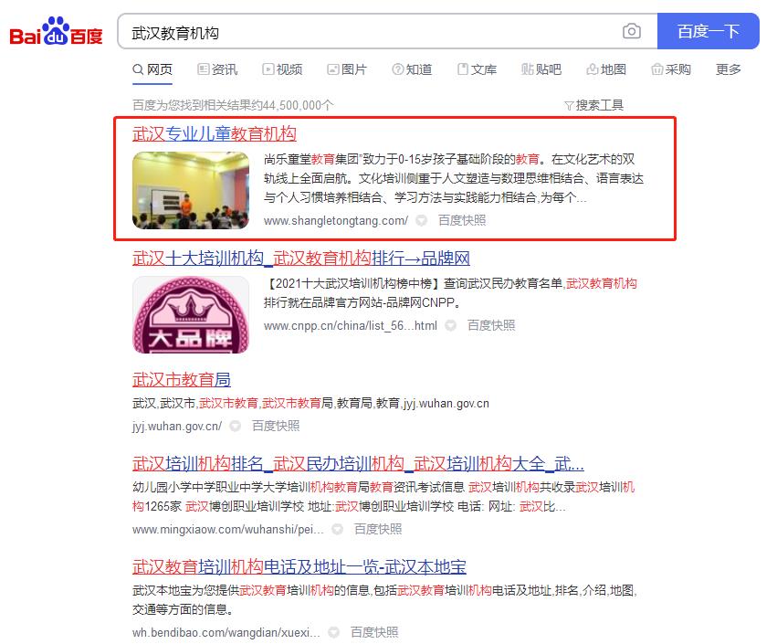 兒童教育、兒童托管機(jī)構(gòu)優(yōu)化案例網(wǎng)站建設(shè)案例—武漢盛世互聯(lián)